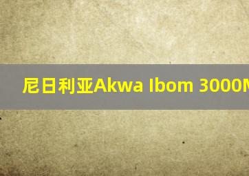 尼日利亚Akwa Ibom 3000MW(CPP)